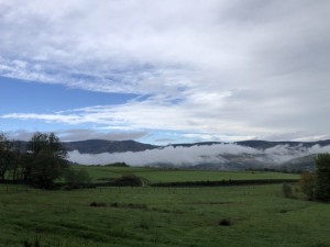 6036A21A-23DB-41DF-9A5B-09AAED2382C2.jpeg