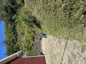 IMG_2054.jpeg