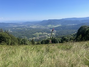 IMG_3636.jpeg