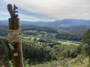 IMG_4678.jpeg