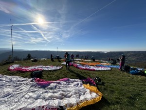 IMG_3040.jpeg