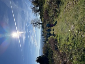 IMG_3034.jpeg