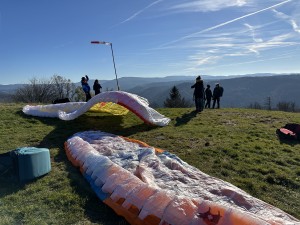 IMG_3036.jpeg