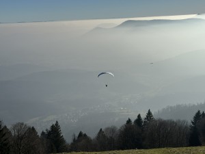 IMG_3456.jpeg