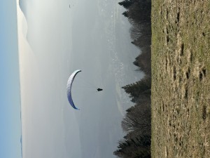 IMG_3455.jpeg