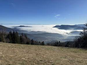 IMG_3473.jpeg