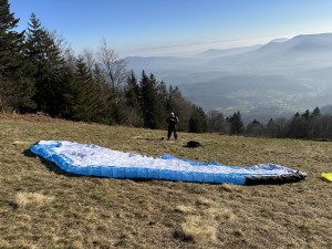 IMG_3545.jpeg
