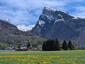 e5d20999-1e33-45ab-be6f-59130bbd644b.jpeg