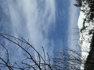 IMG_3890.jpeg