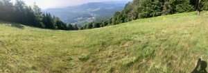 IMG_7902.jpeg