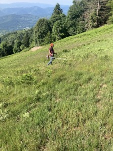 IMG_7905.jpeg