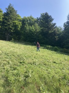 IMG_7907.jpeg