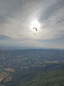 042f077b-d24a-4951-9d21-68d470d434e5.jpeg