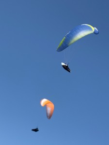 917f4eb2-e158-43f1-b02a-bc950a334b30.jpeg