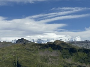 IMG_4610.jpeg