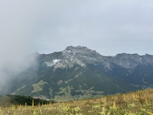 IMG_4627.jpeg