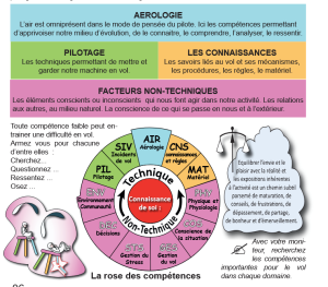 Rose des compétences.png