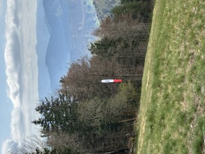 IMG_6505.jpeg