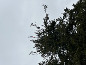 IMG_6506.jpeg