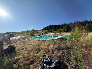 IMG_6971.jpeg