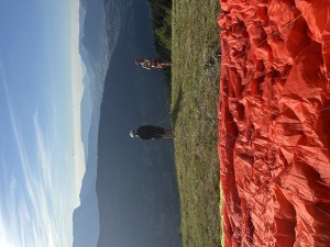 IMG_7029.jpeg