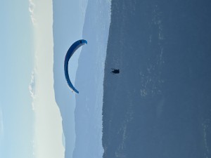 IMG_7028.jpeg
