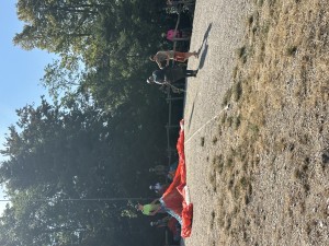 IMG_7037.jpeg