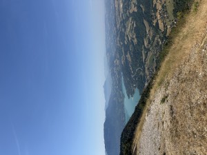 IMG_7036.jpeg