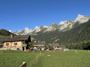 IMG_7275.jpeg
