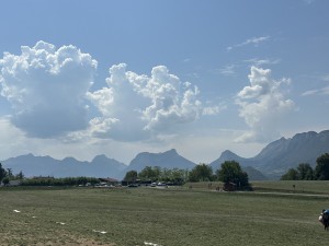 IMG_7310.jpeg
