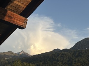 IMG_7308.jpeg